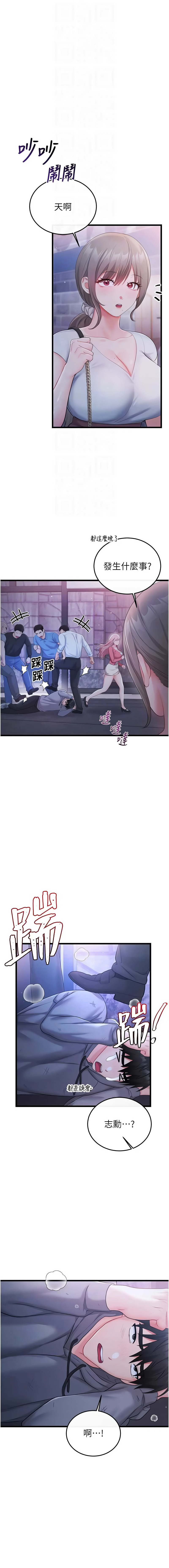 全集 113