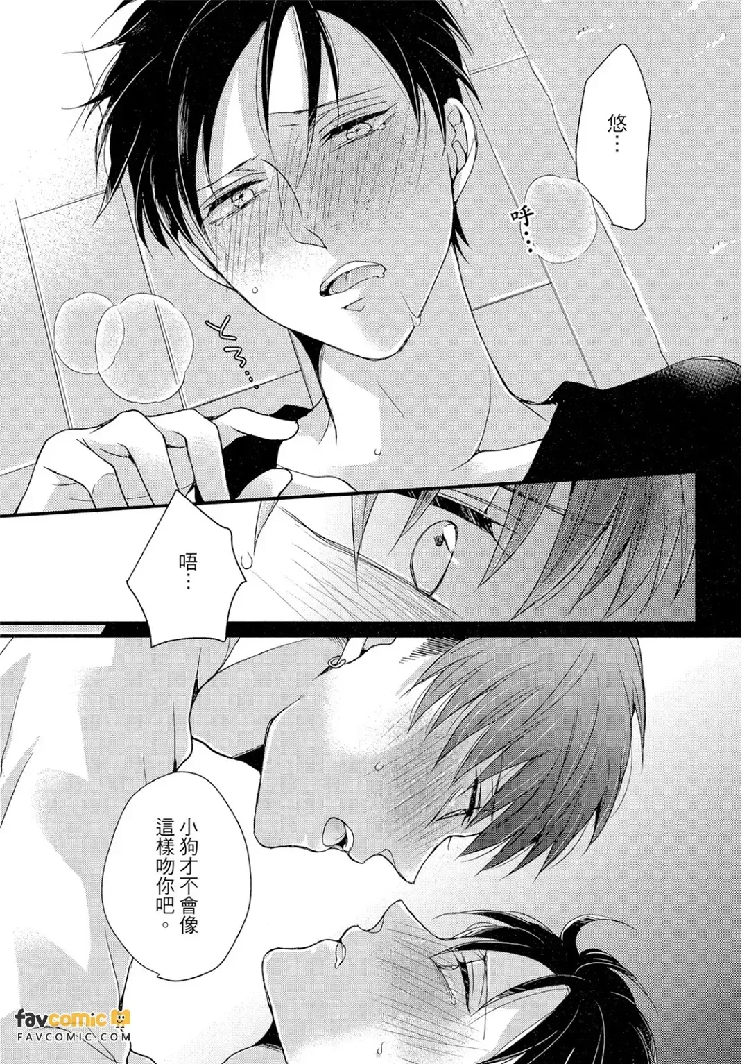 全集 74