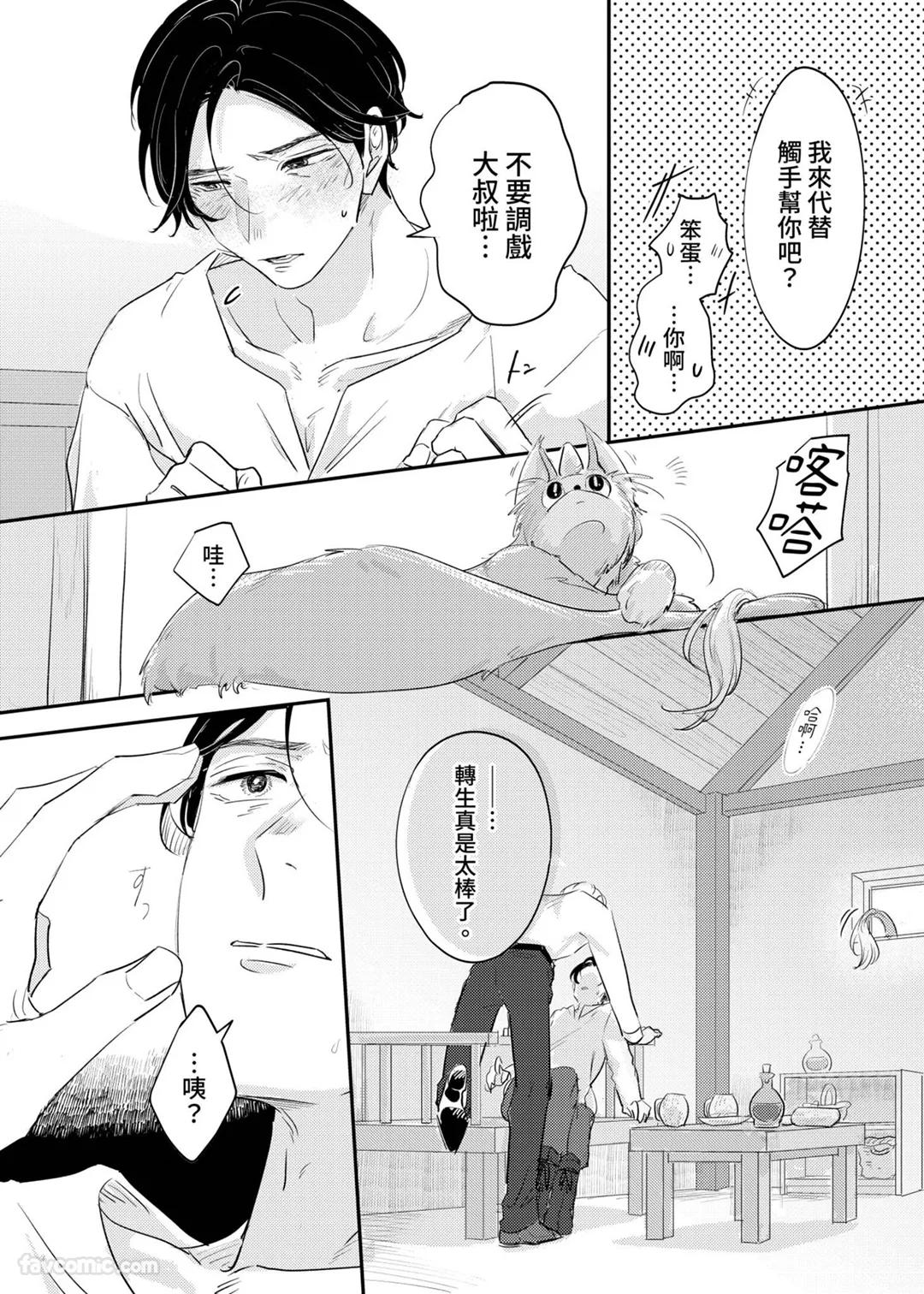 全集 11