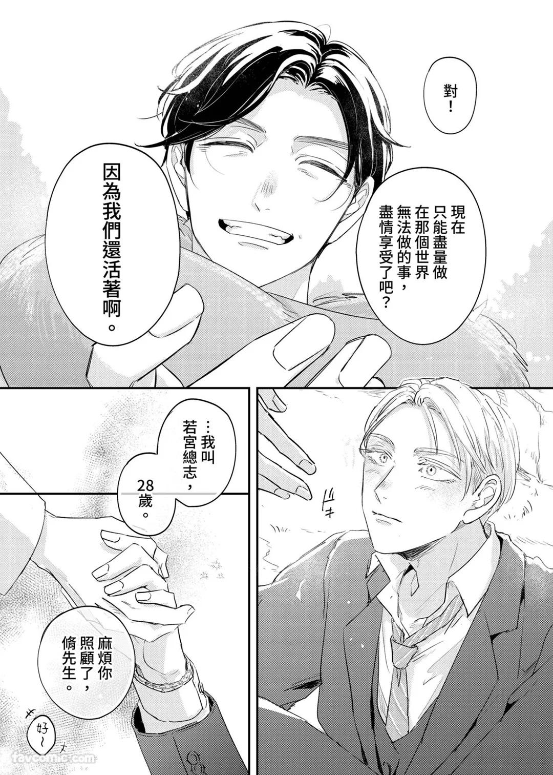 全集 8