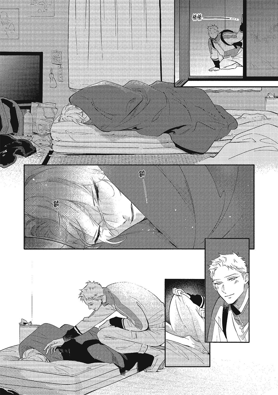 全集 13