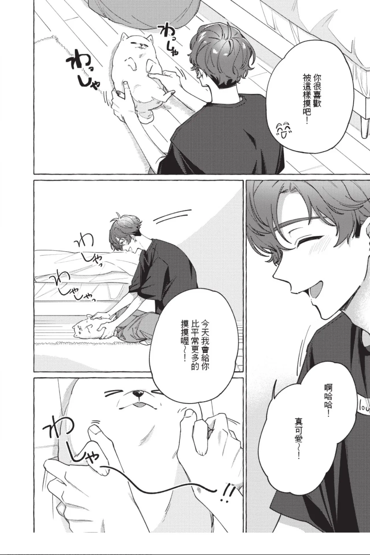 全集 144