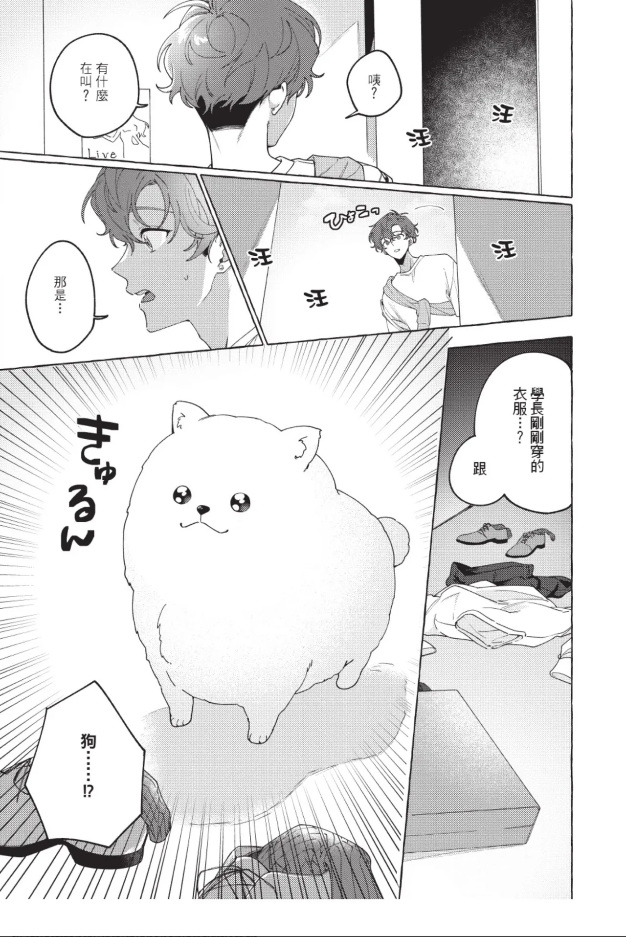 全集 31