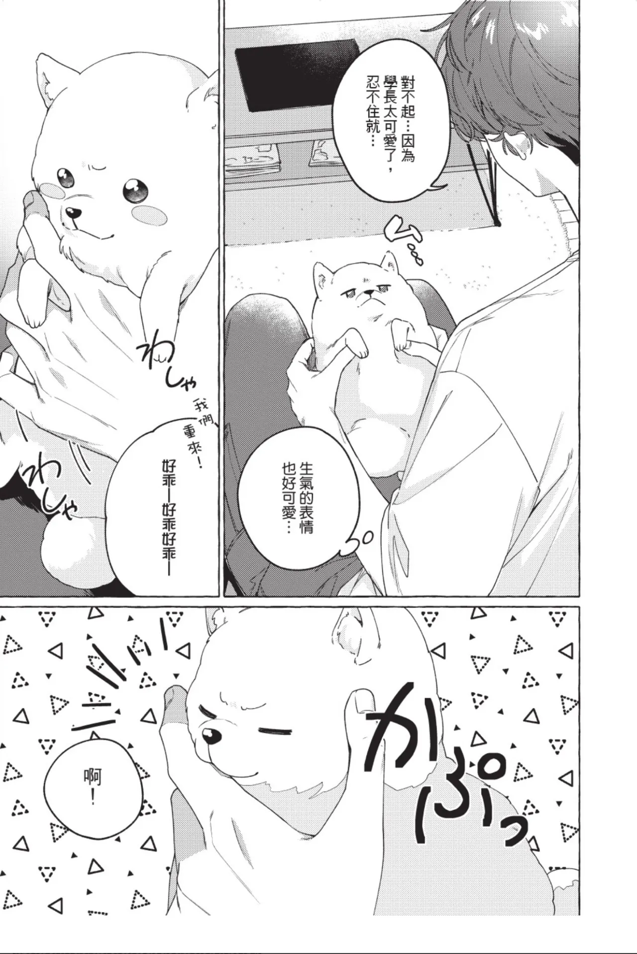 全集 89