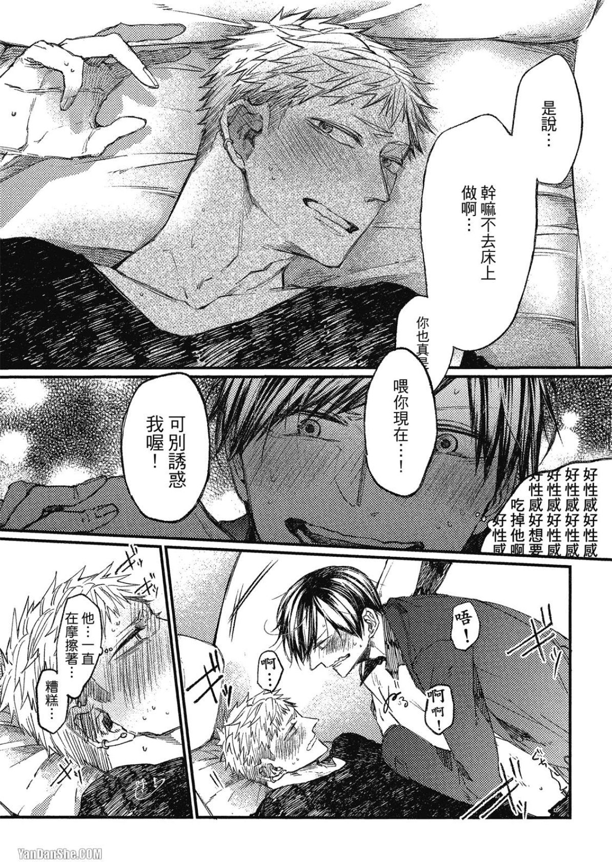 全集 46