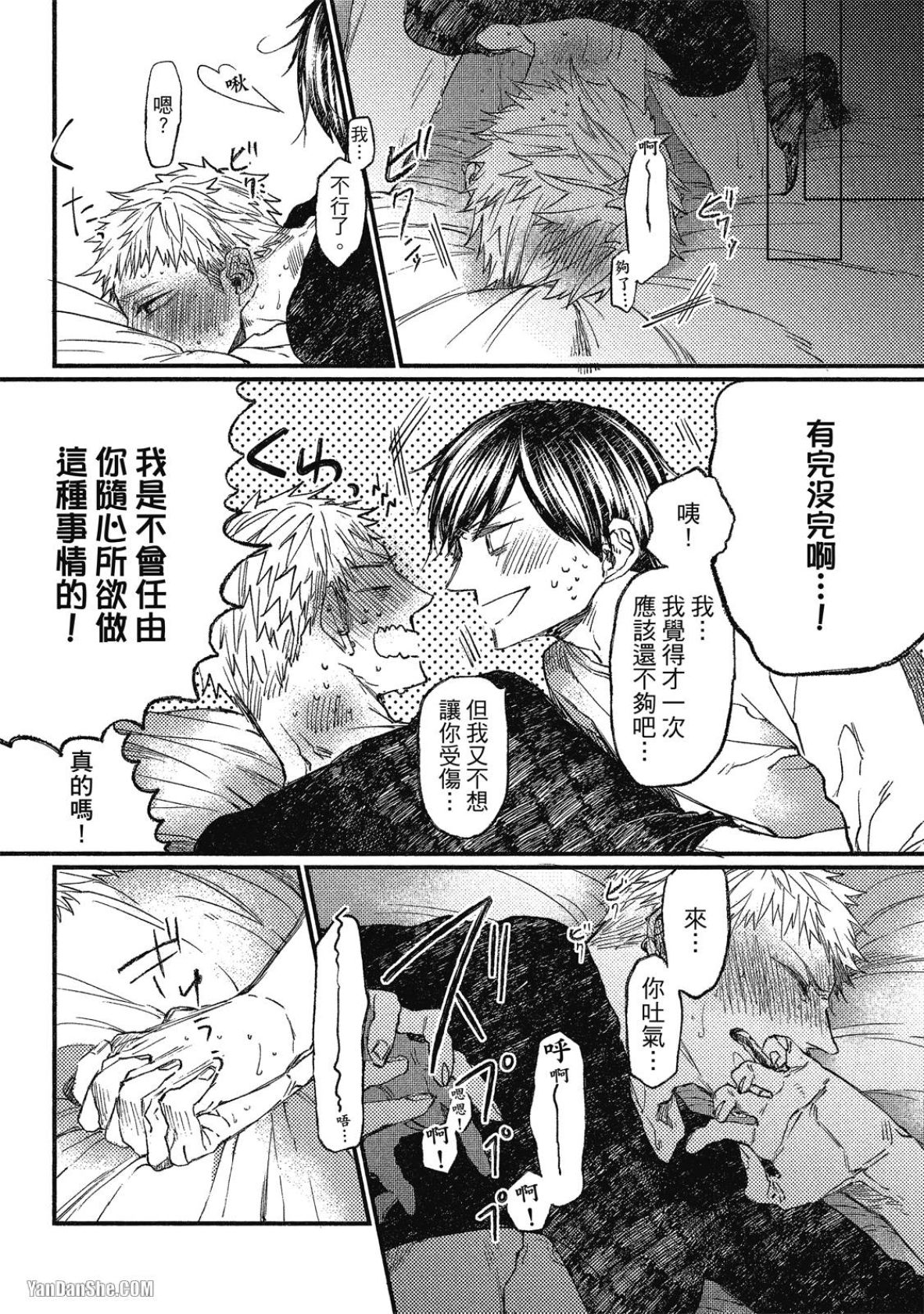 全集 61