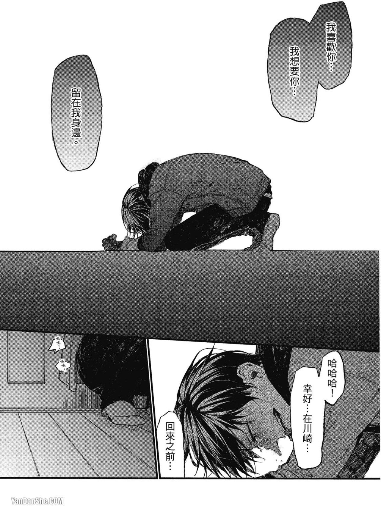 全集 31