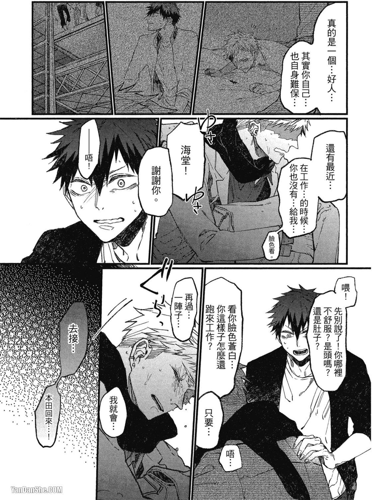 全集 55