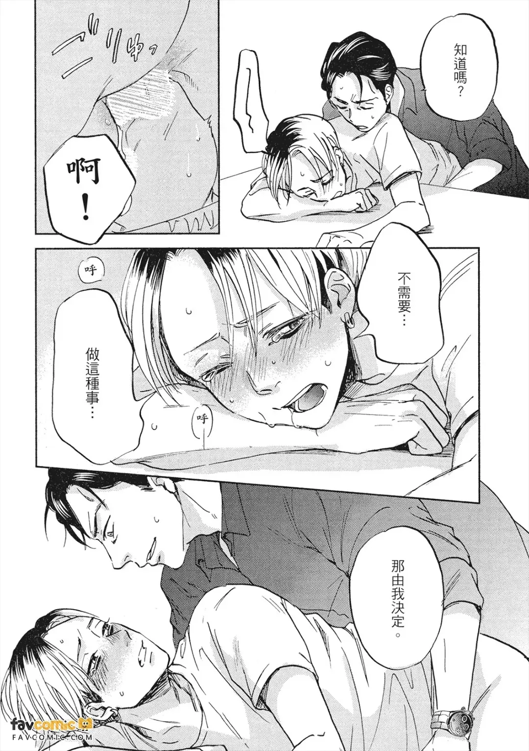 全集 41