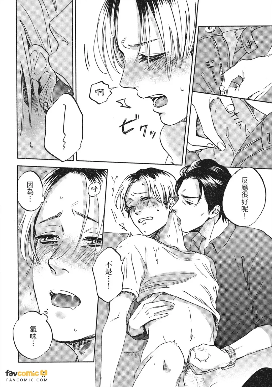 全集 55