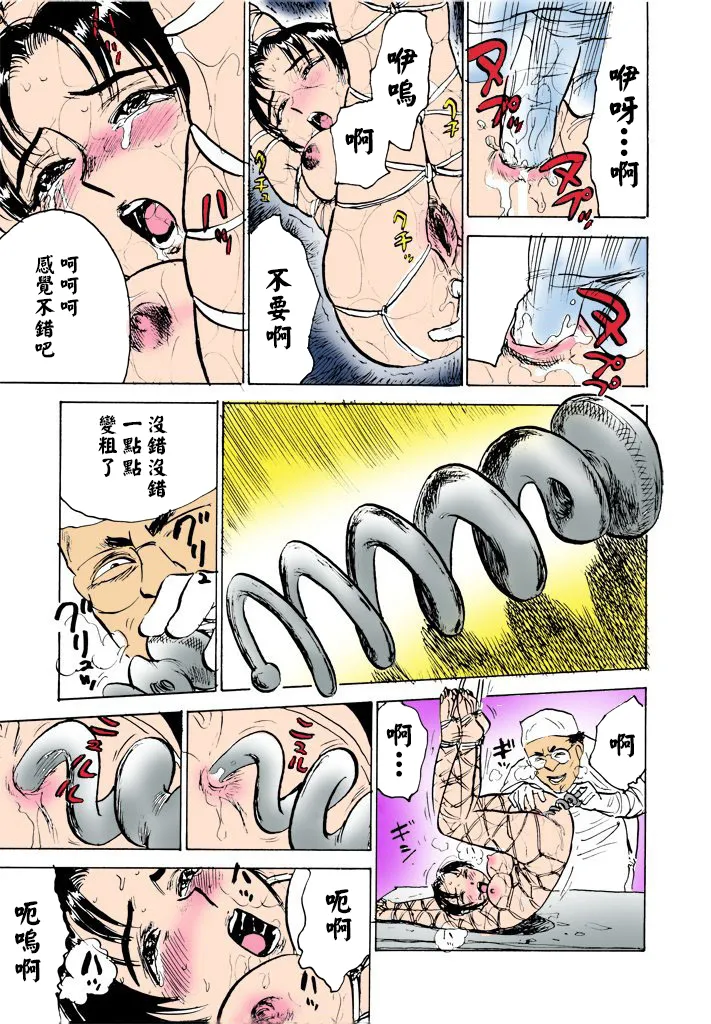 全集 113
