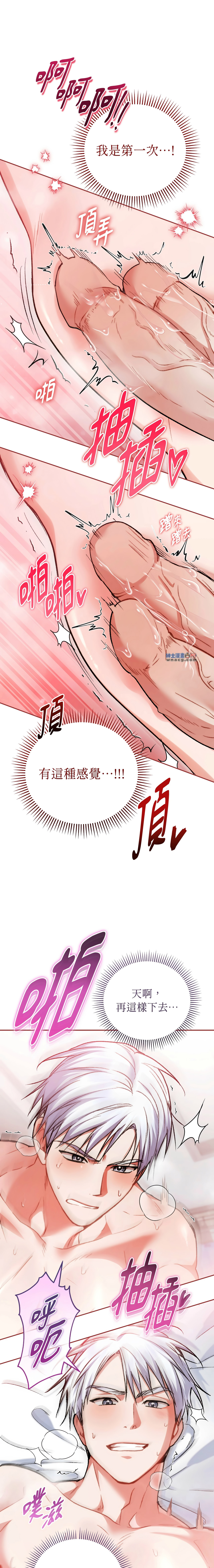全集 66