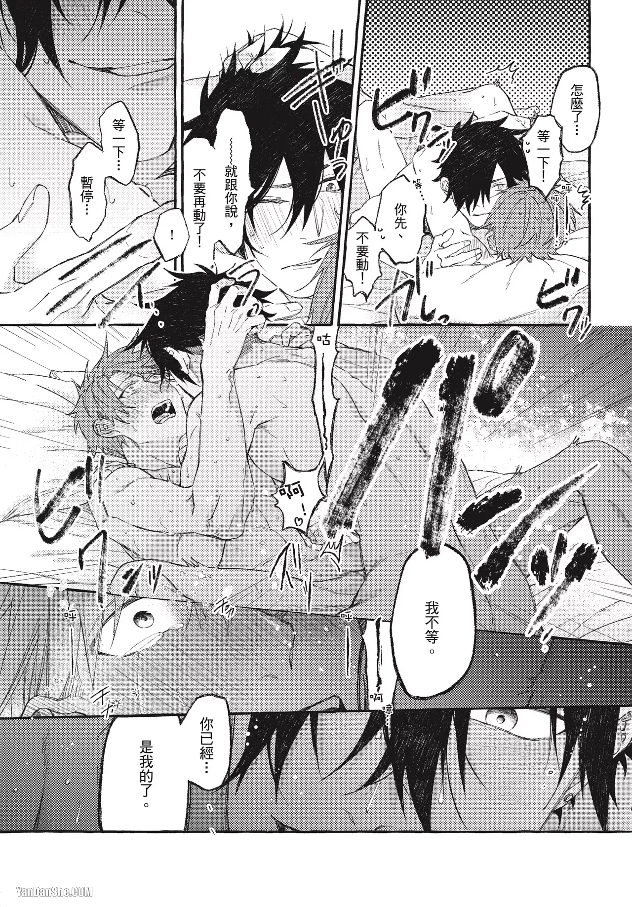 全集 166