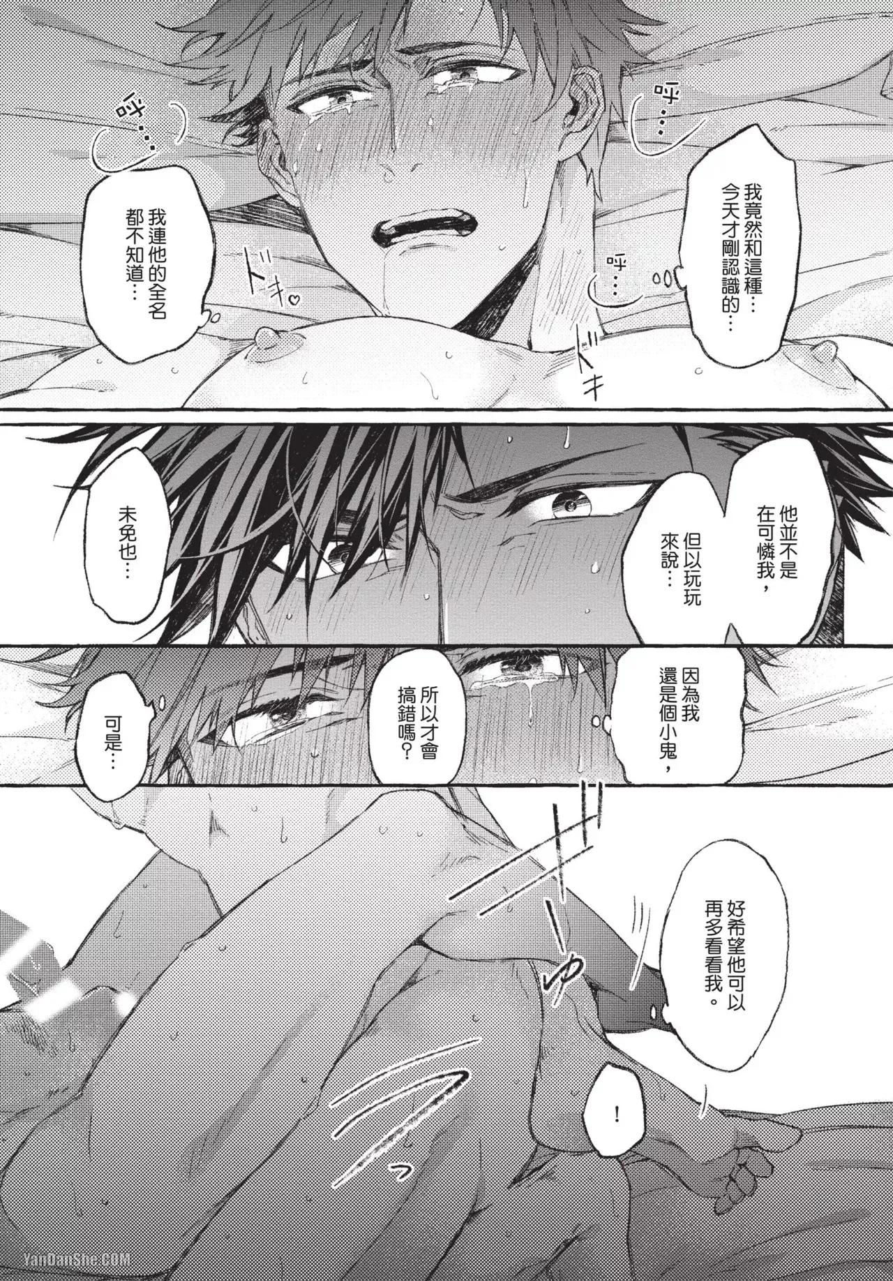 全集 31