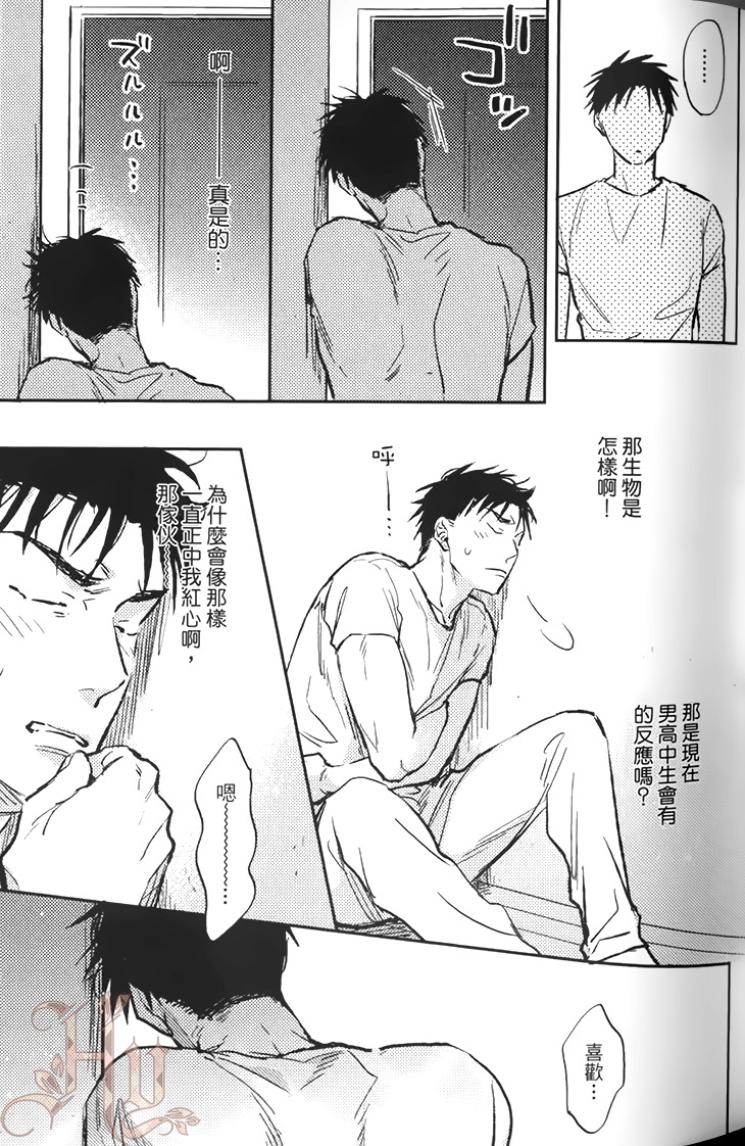 全集 41