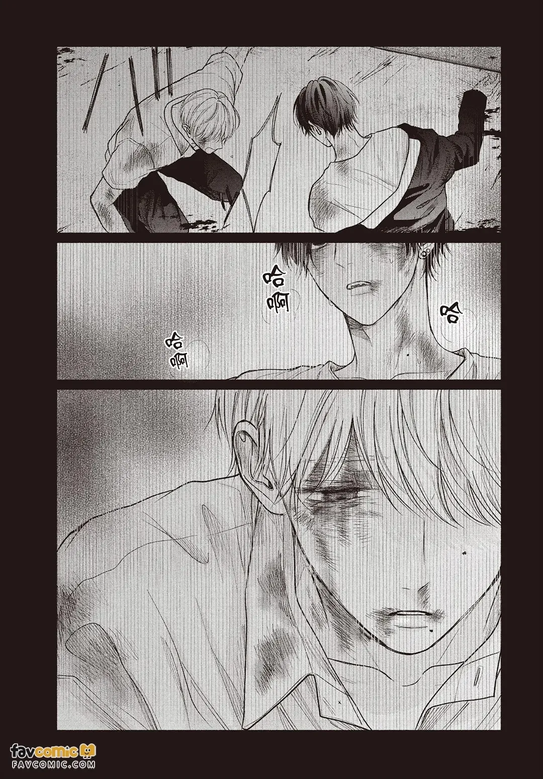 全集 11