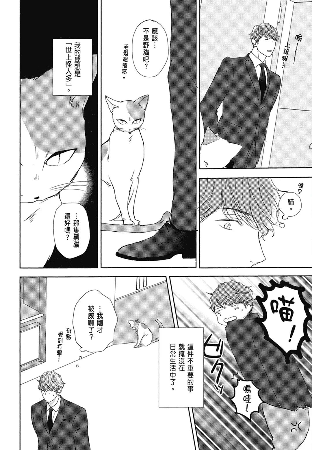 全集 17