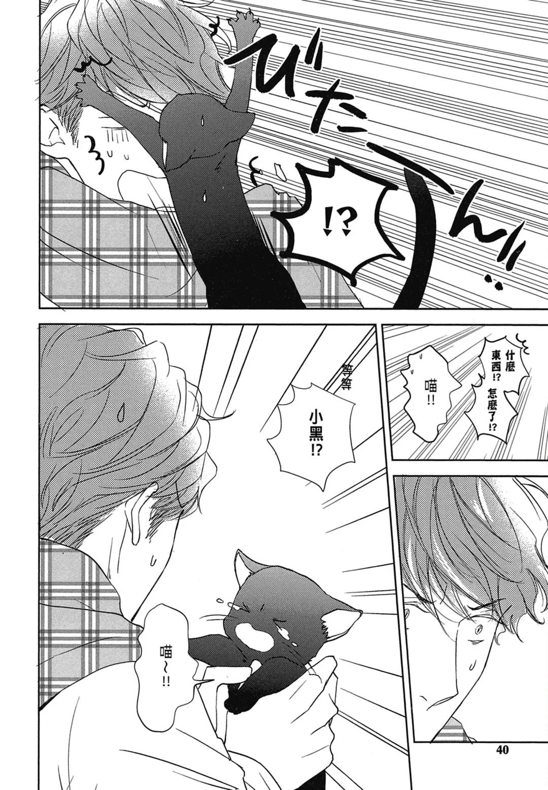 全集 41