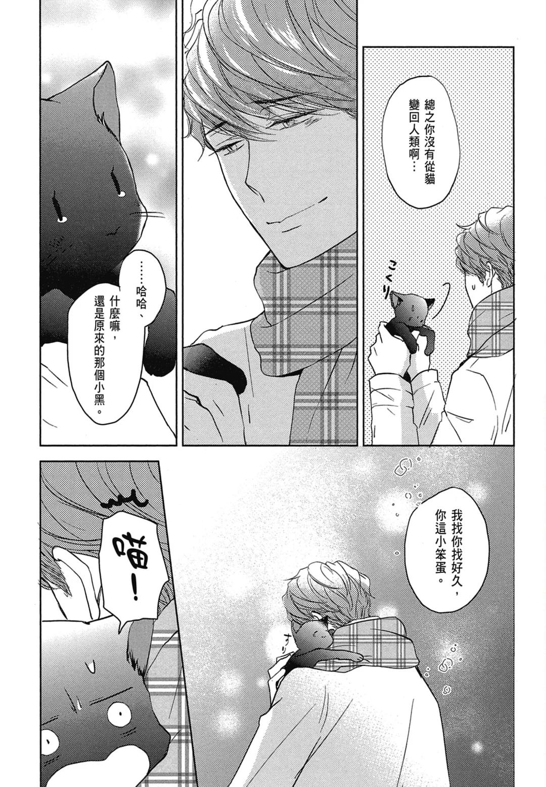 全集 43