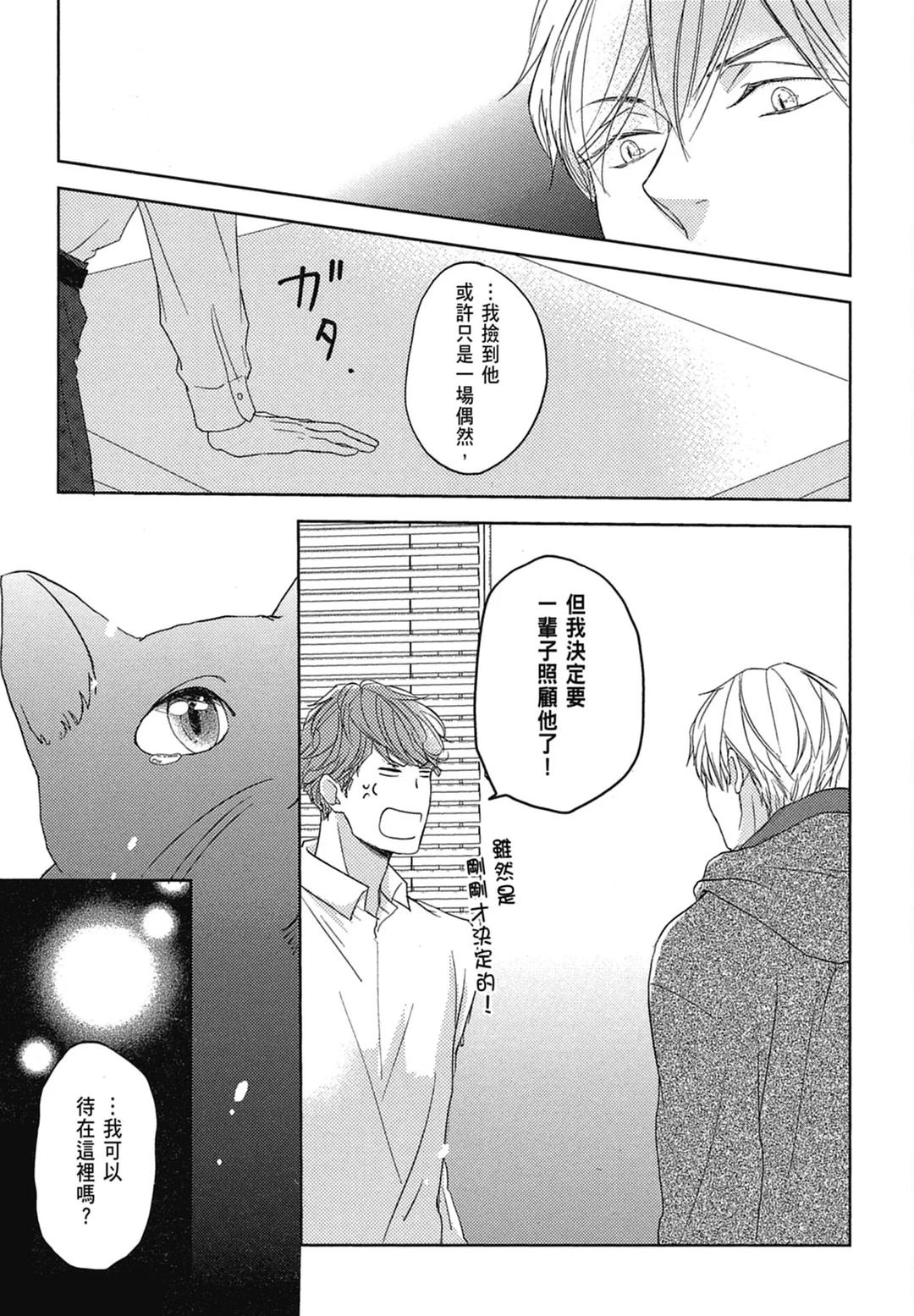 全集 52