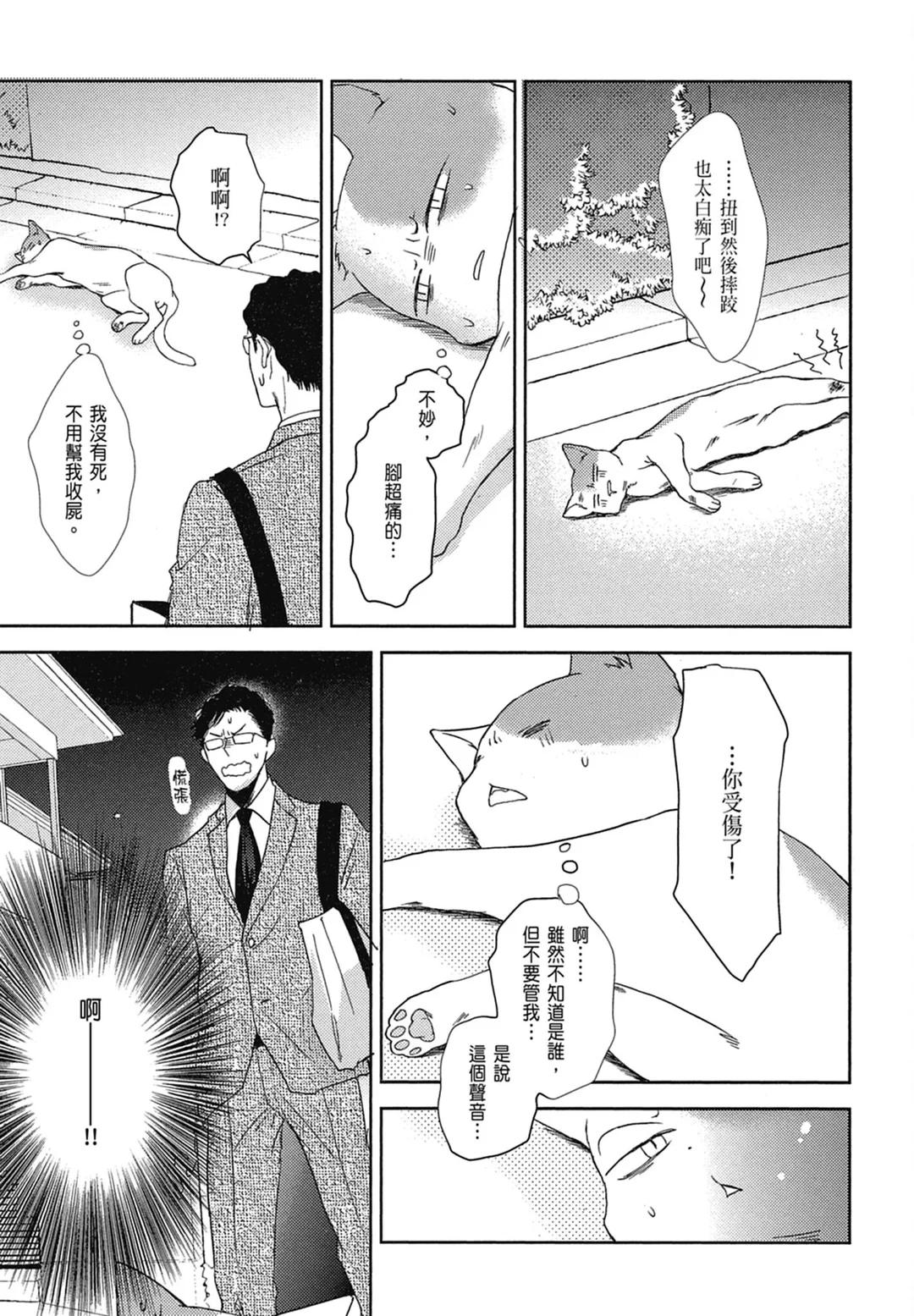 全集 78