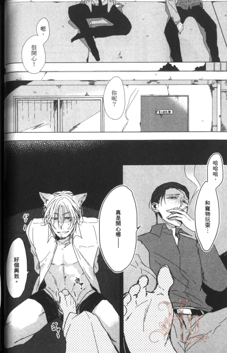 全集 55