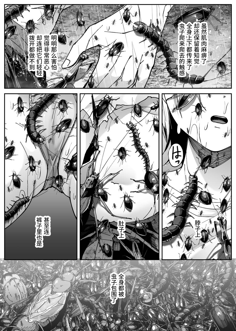 全集 15