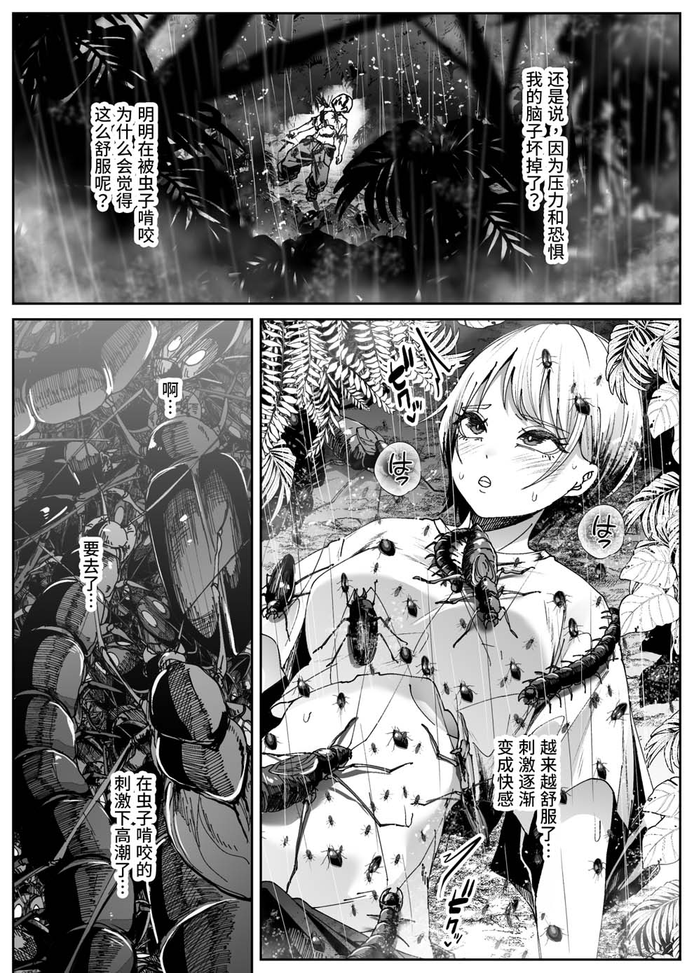全集 24