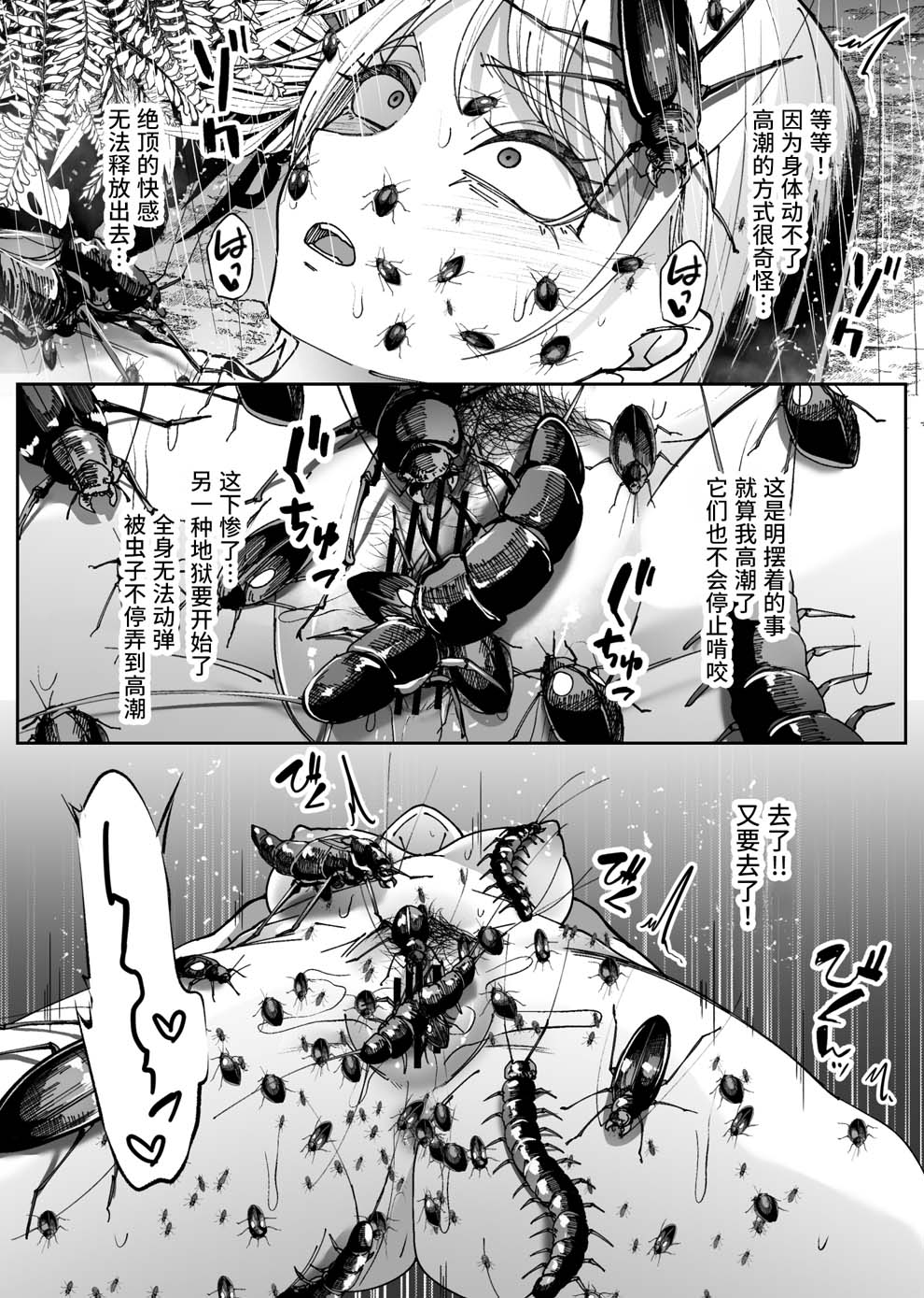 全集 26
