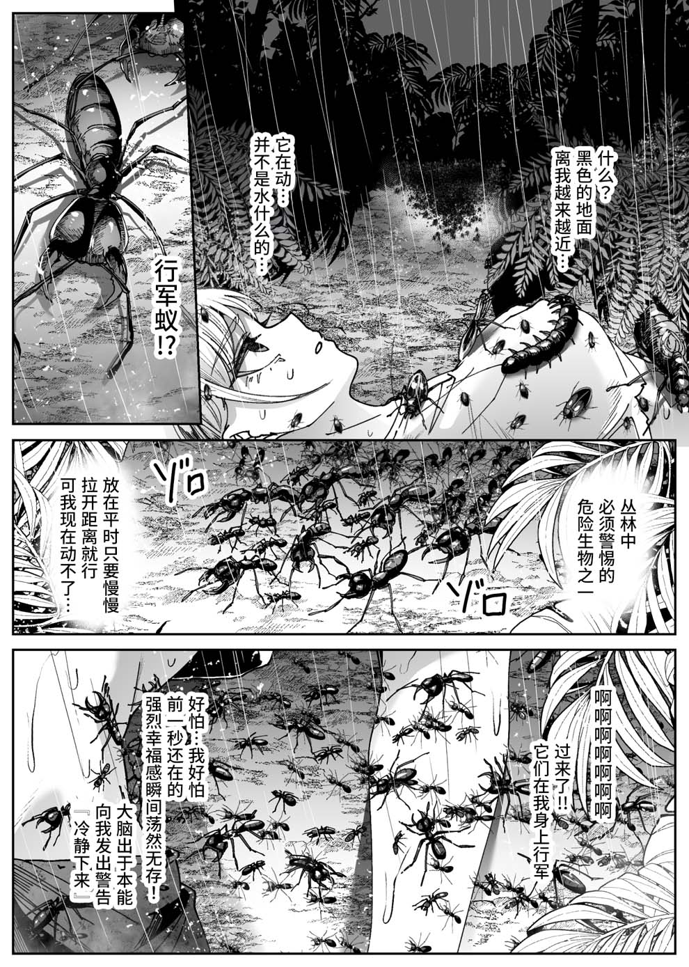 全集 28