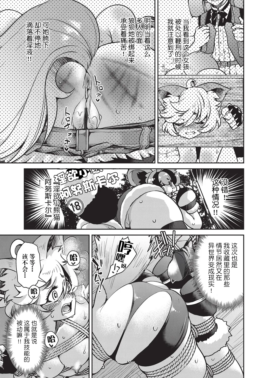 全集 74