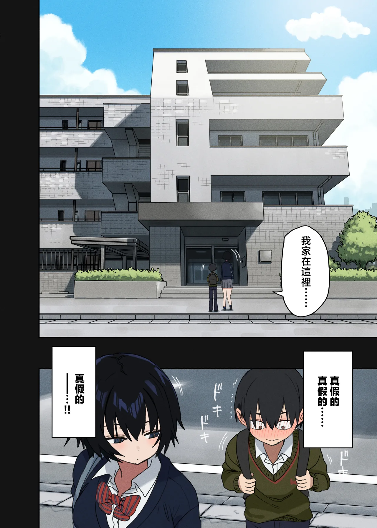 全集 13
