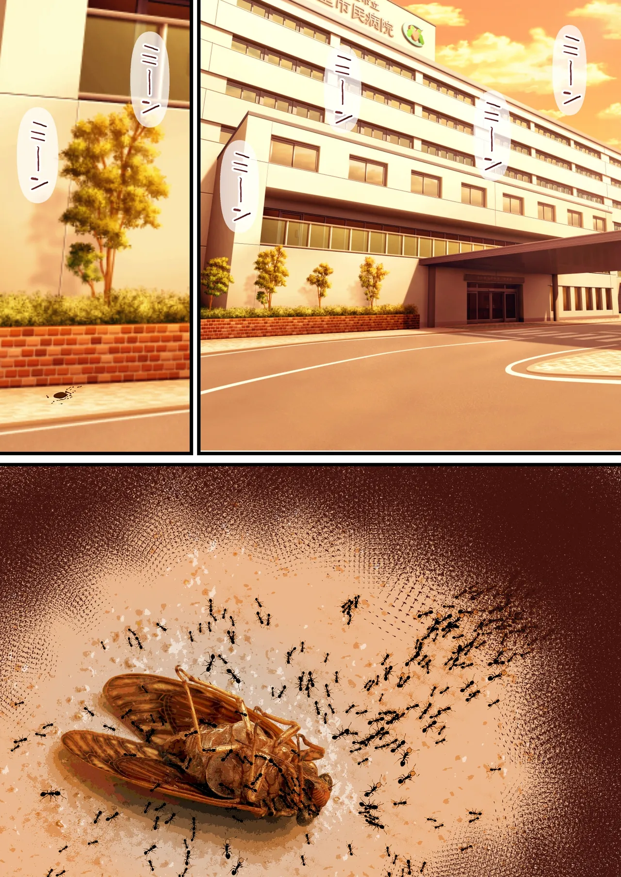 全集 61