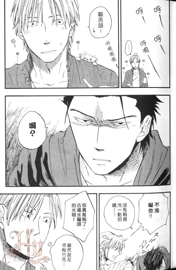 全集 31