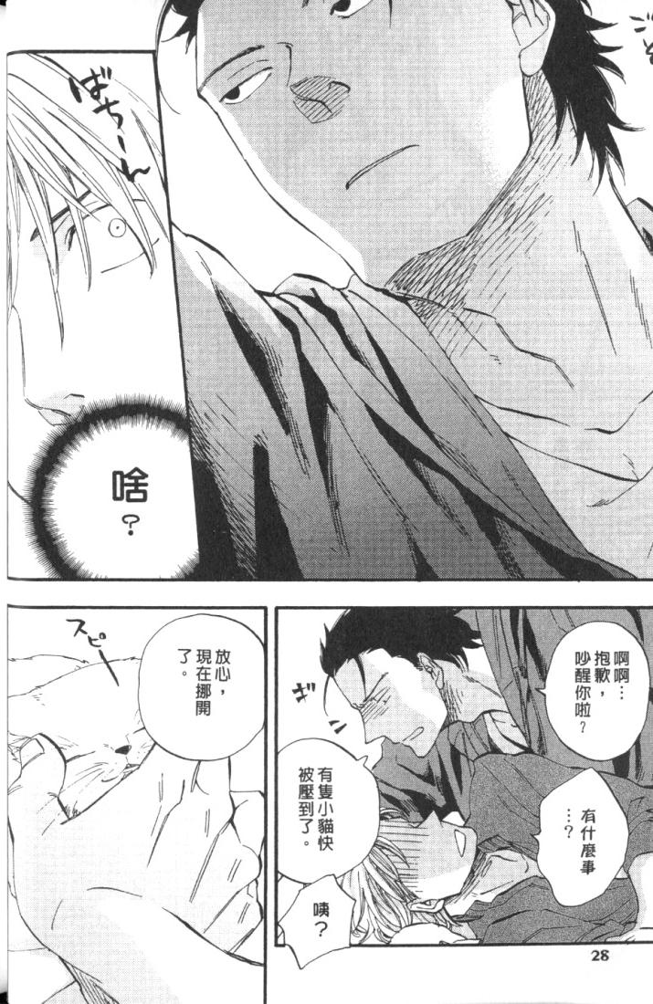 全集 36