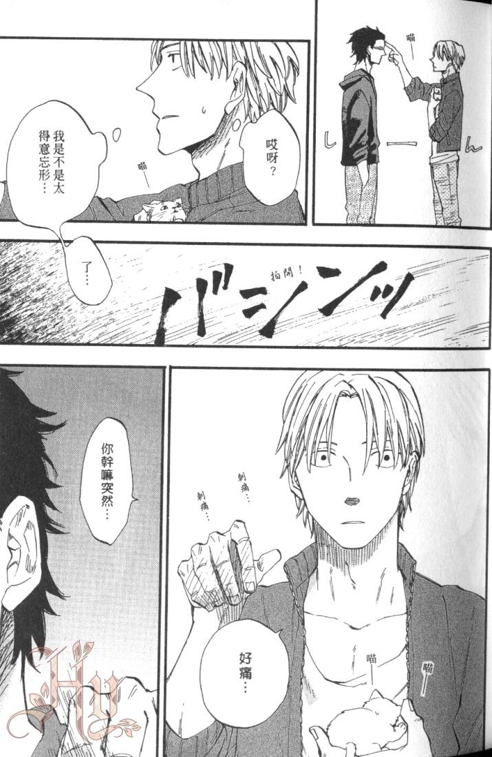 全集 41