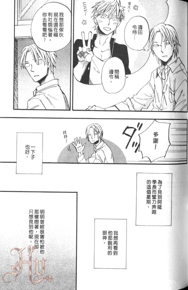 全集 81