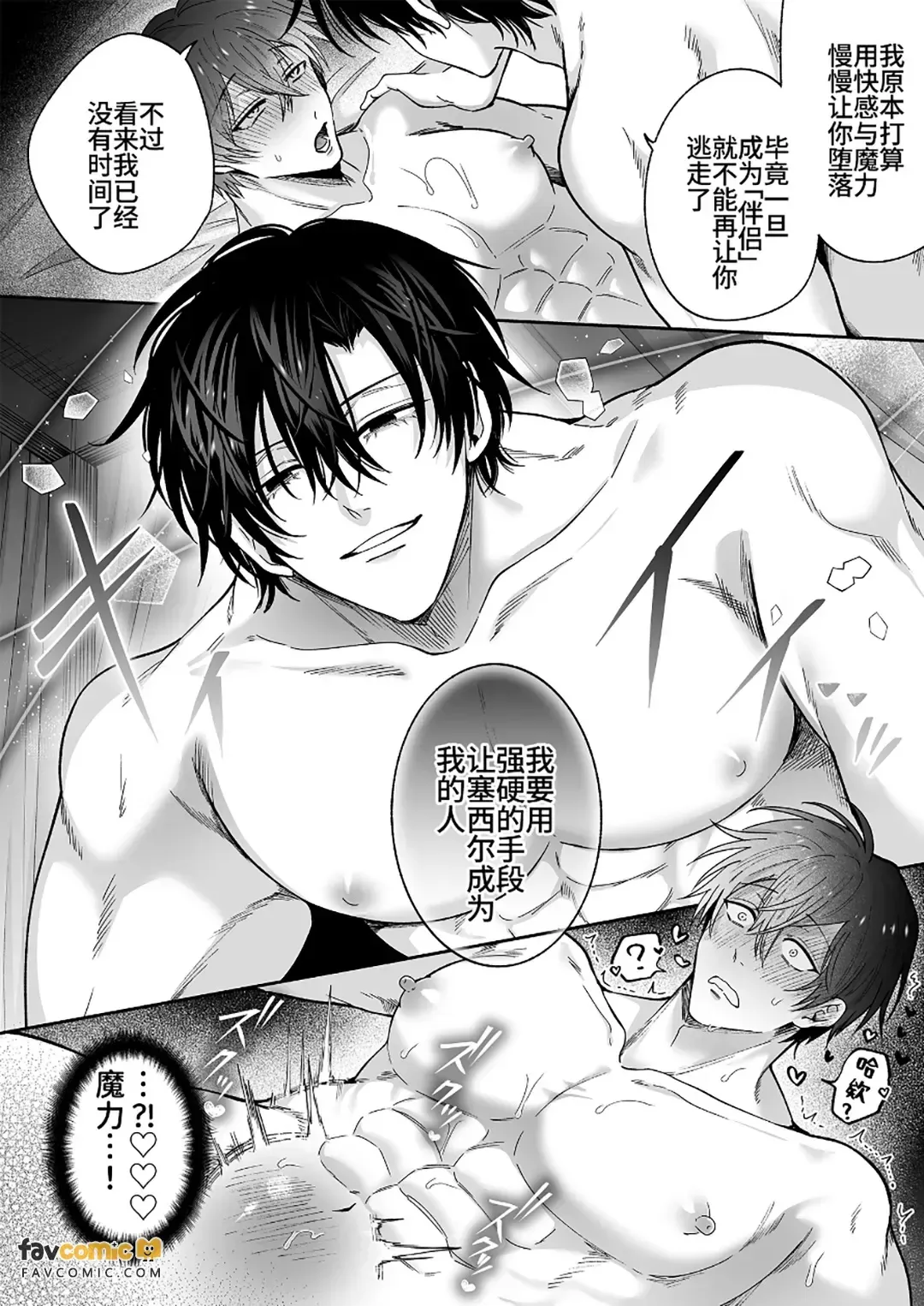 全集 51