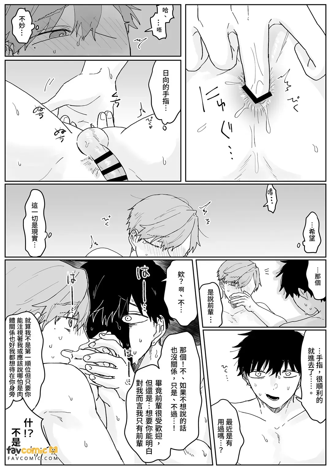 全集 31