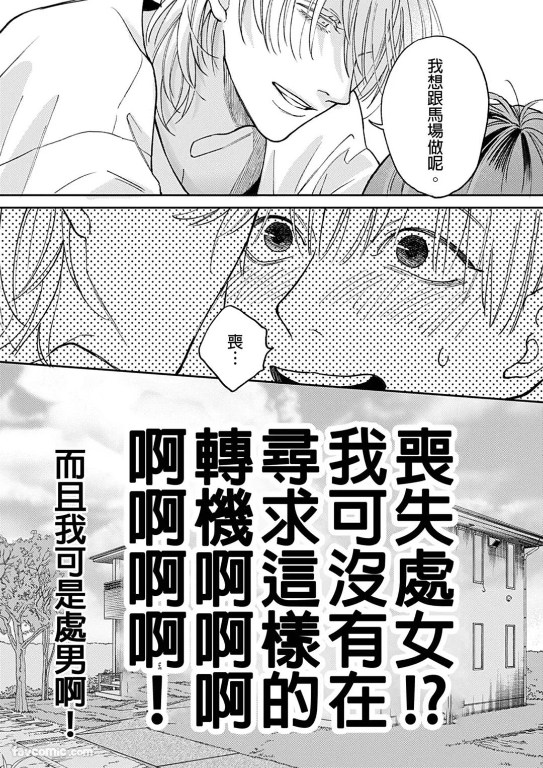 全集 37