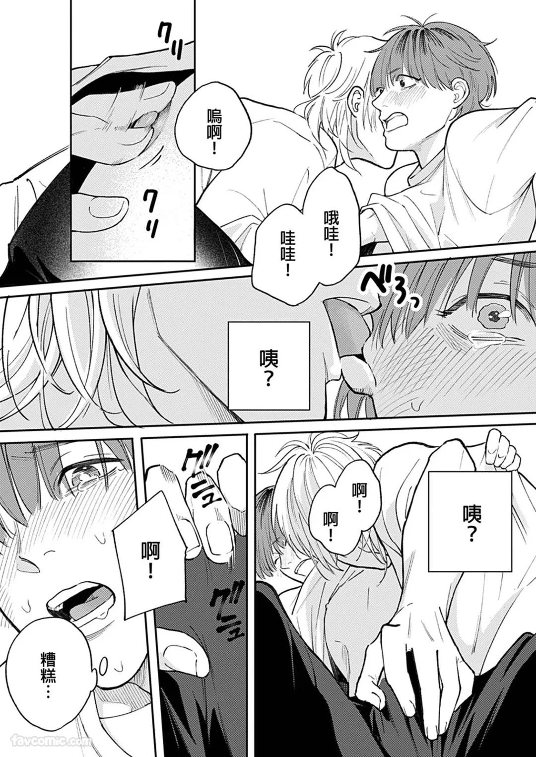 全集 40