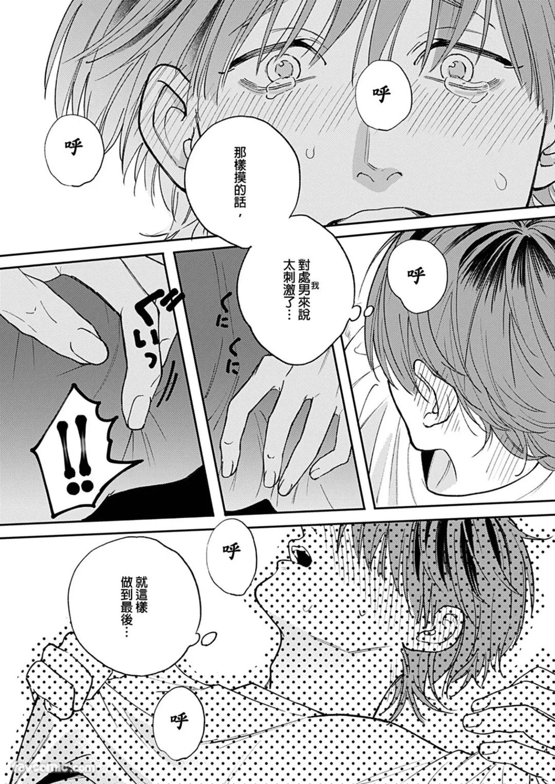 全集 41