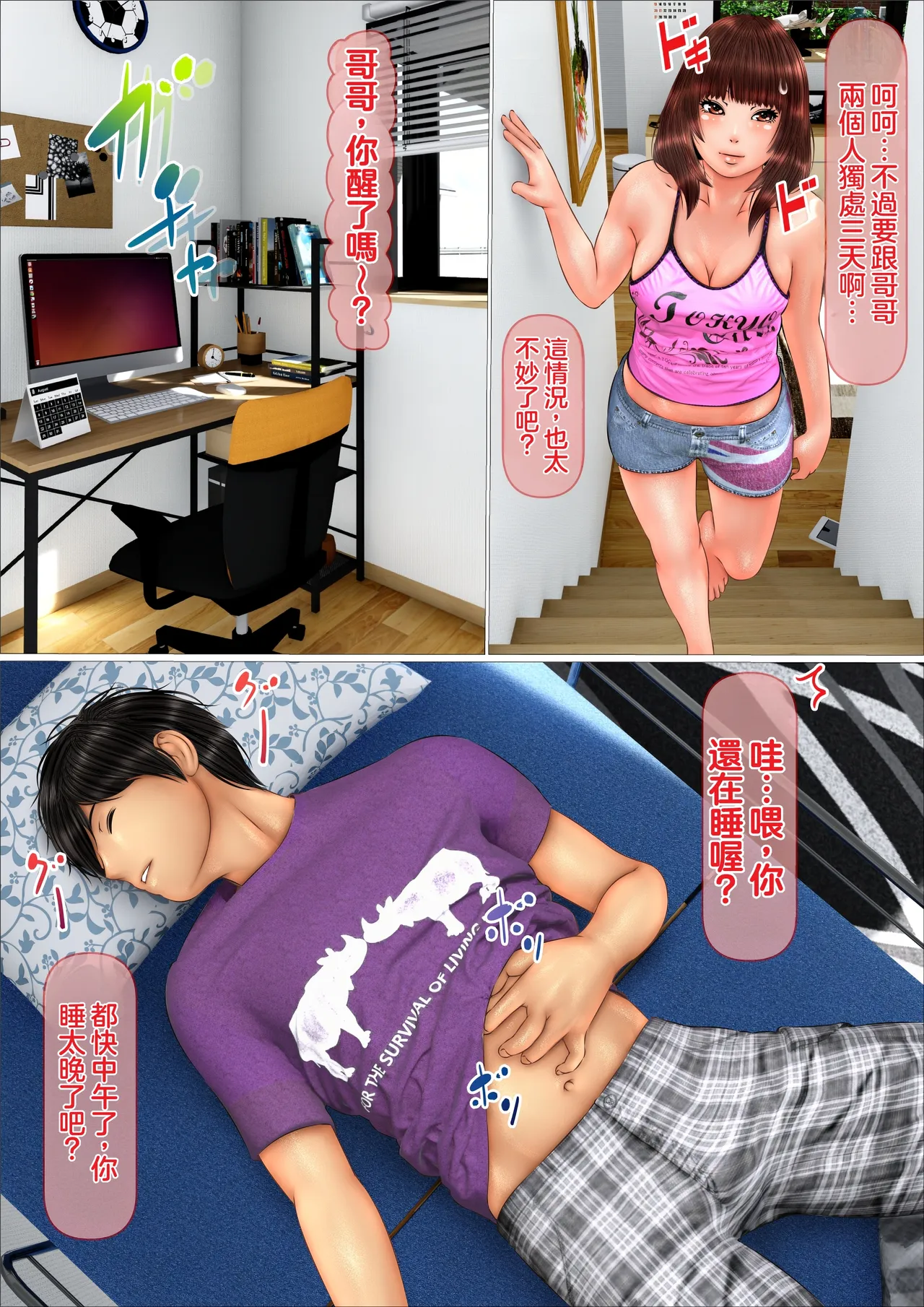 全集 6