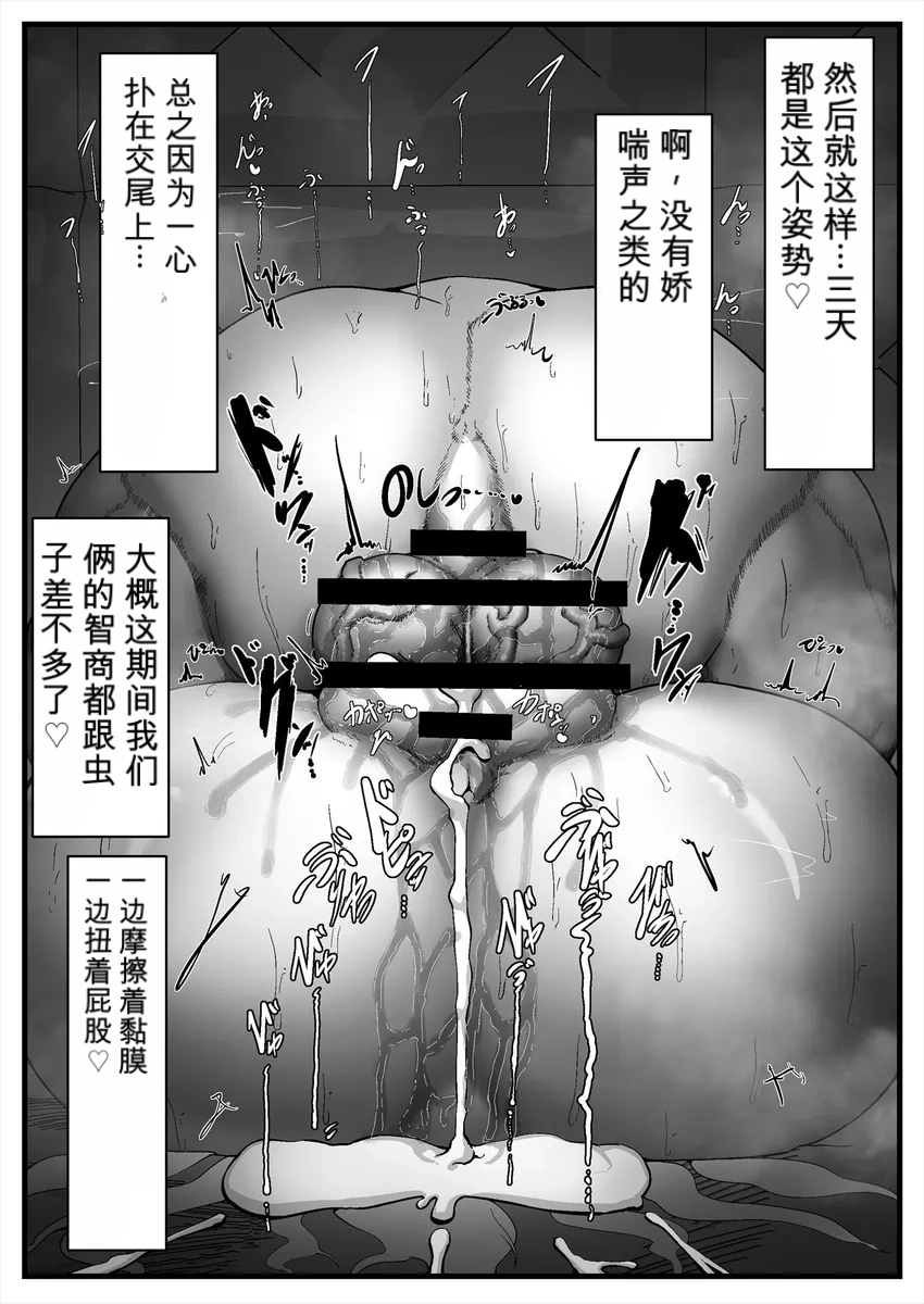 全集 38