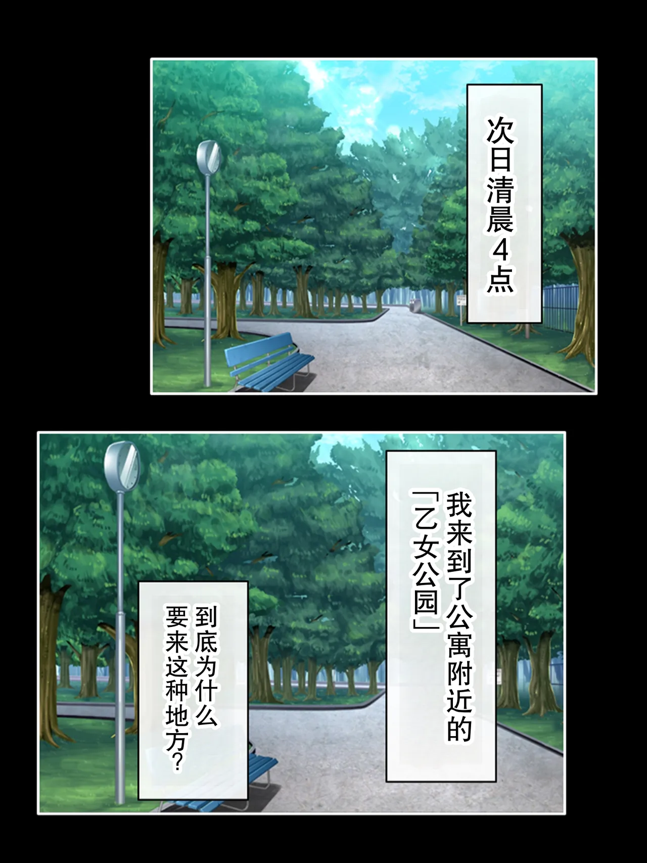 全集 116