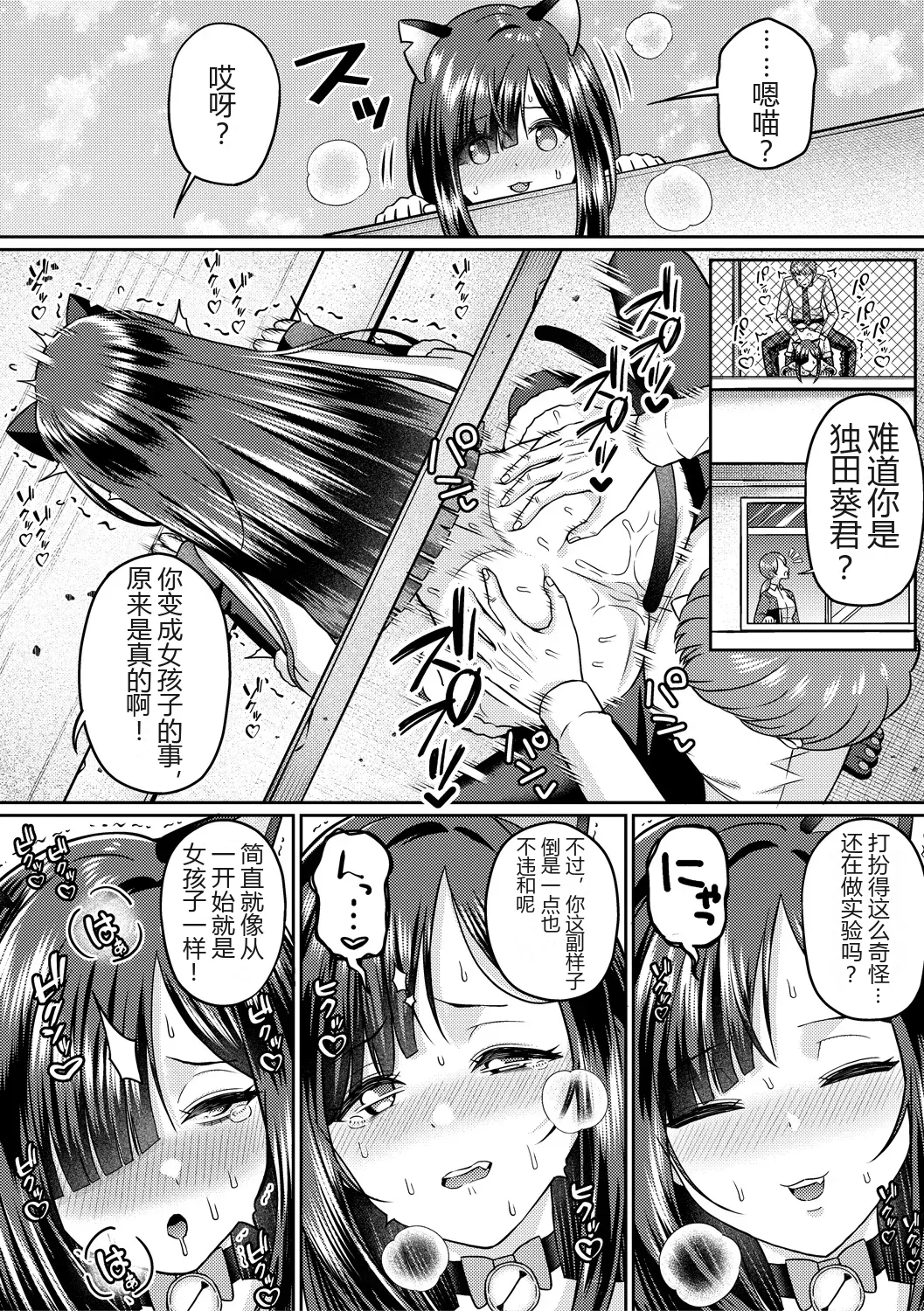 全集 46