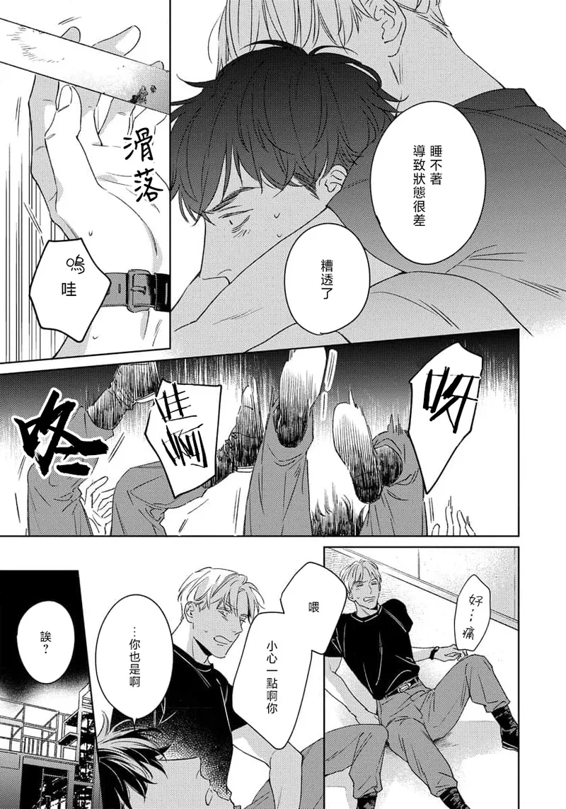 全集 81