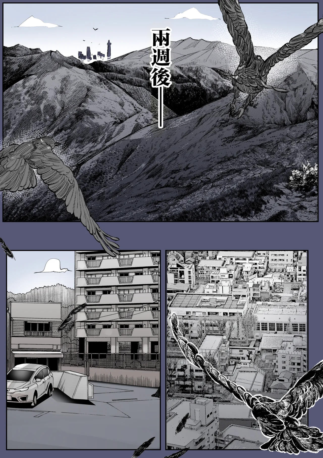 全集 6