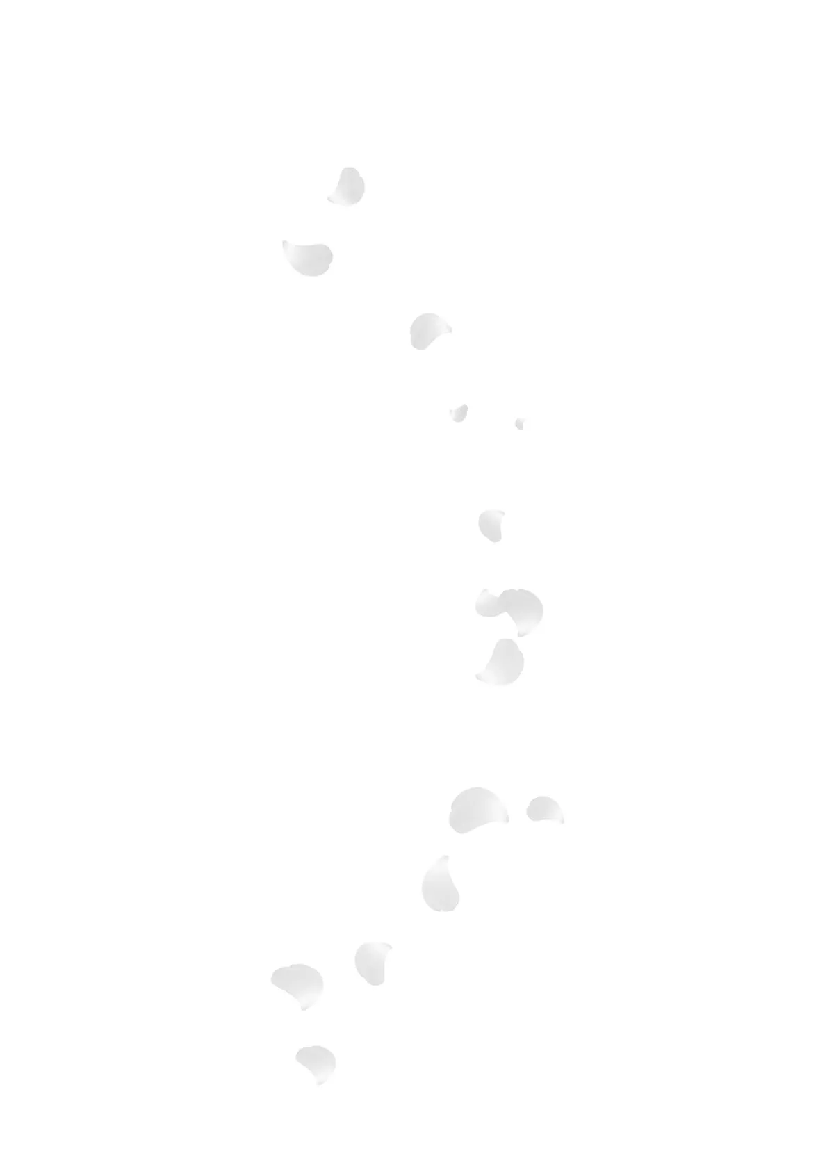 全集 17