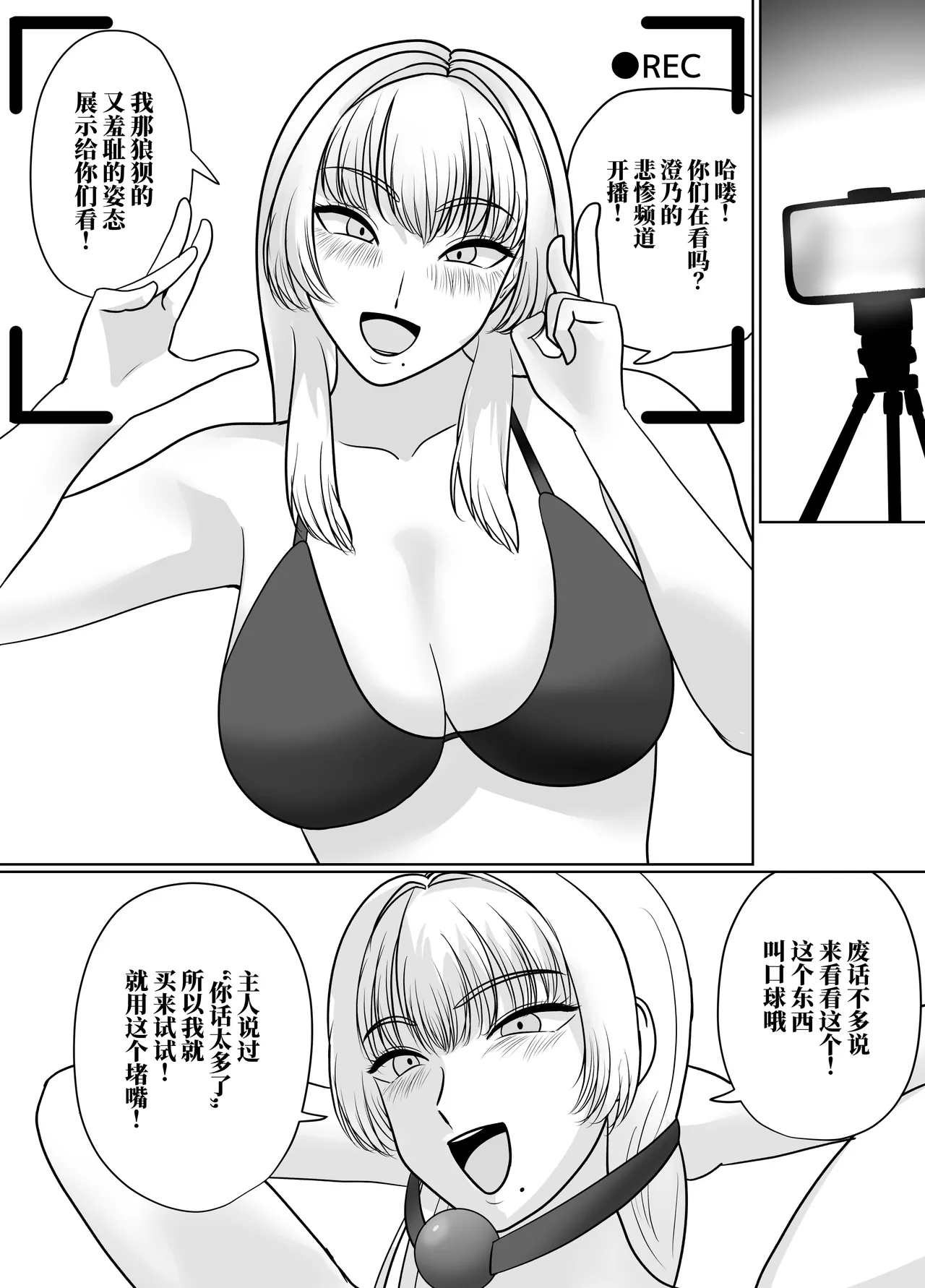 全集 31